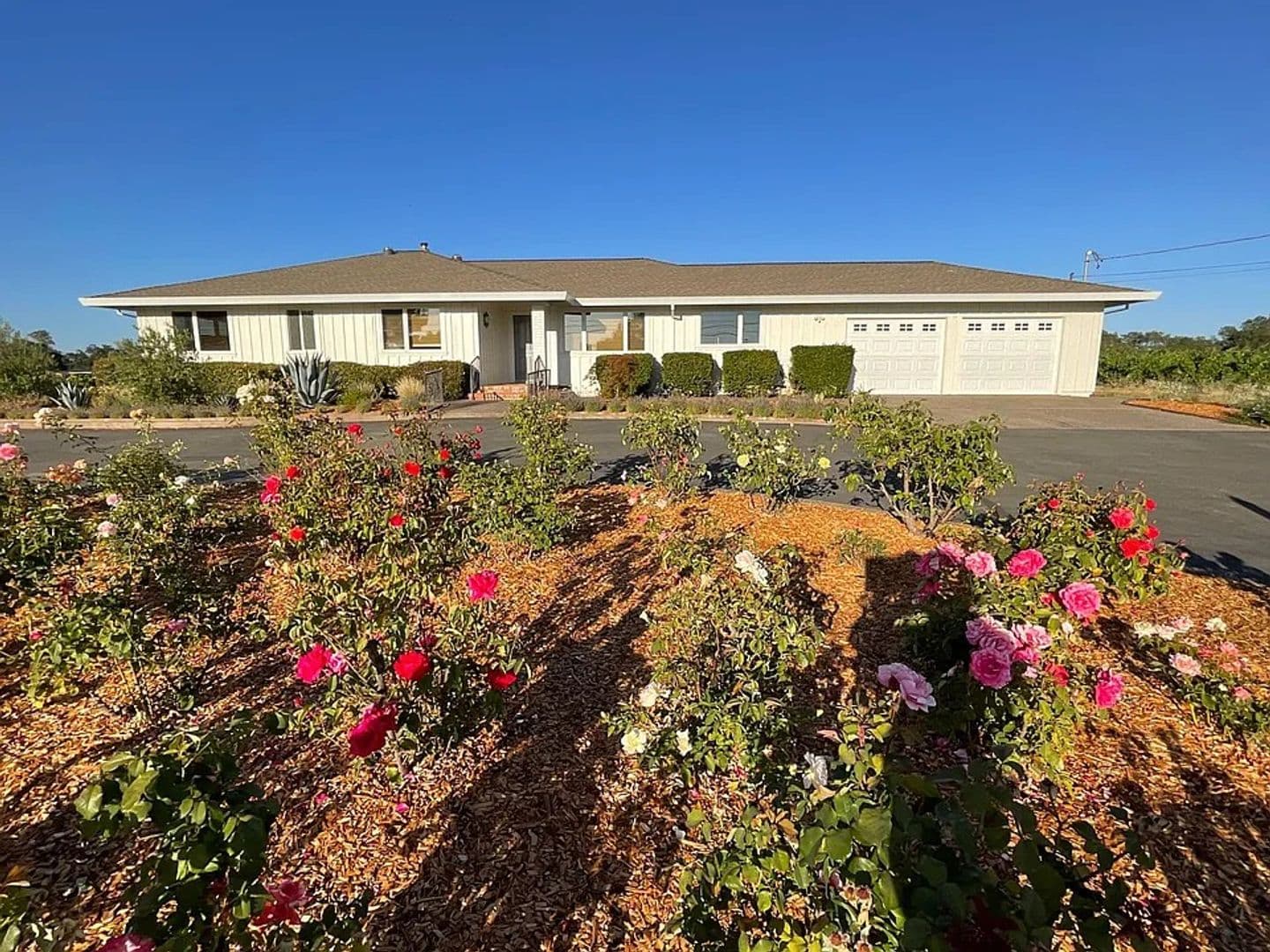 Santa Rosa House: 1830 Olivet Rd