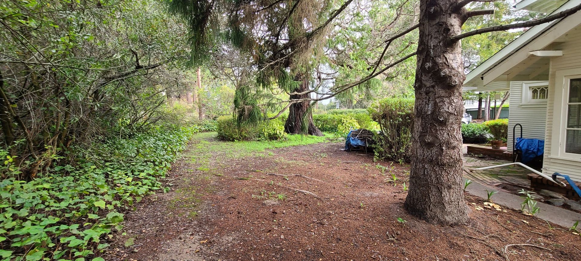 Sebastopol Apartment: 7611 Bodega Ave