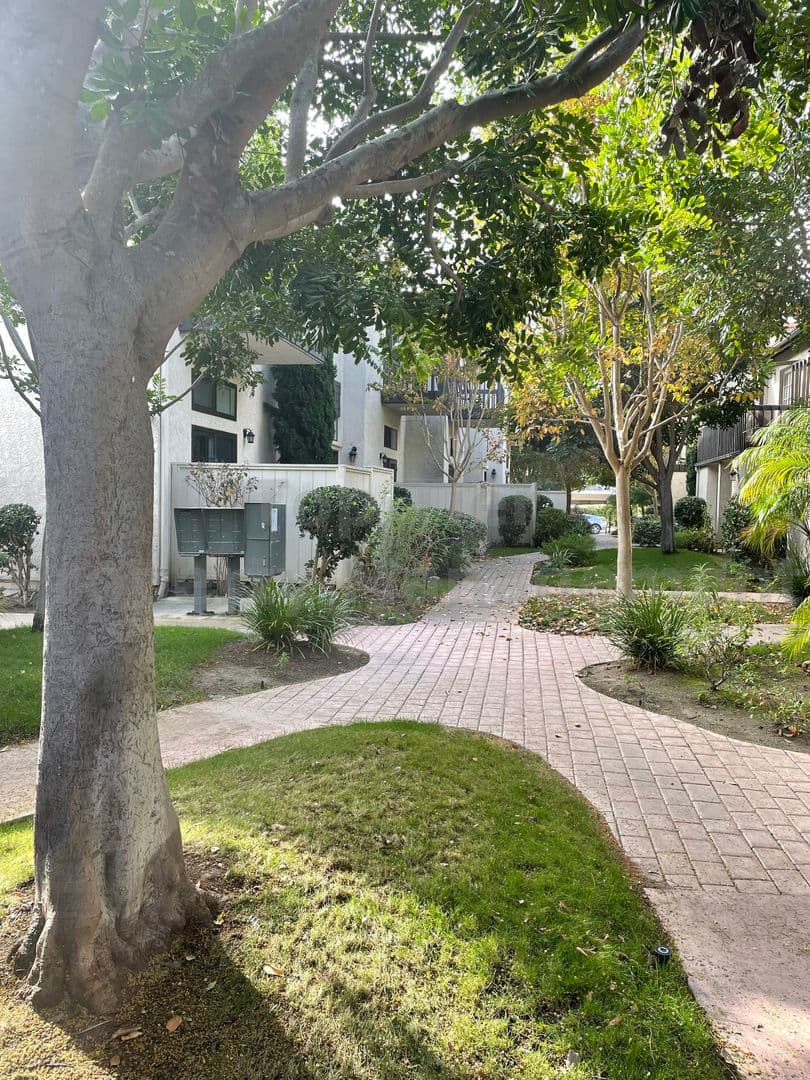 Carlsbad Townhome: 2364 Altisma Way #C
