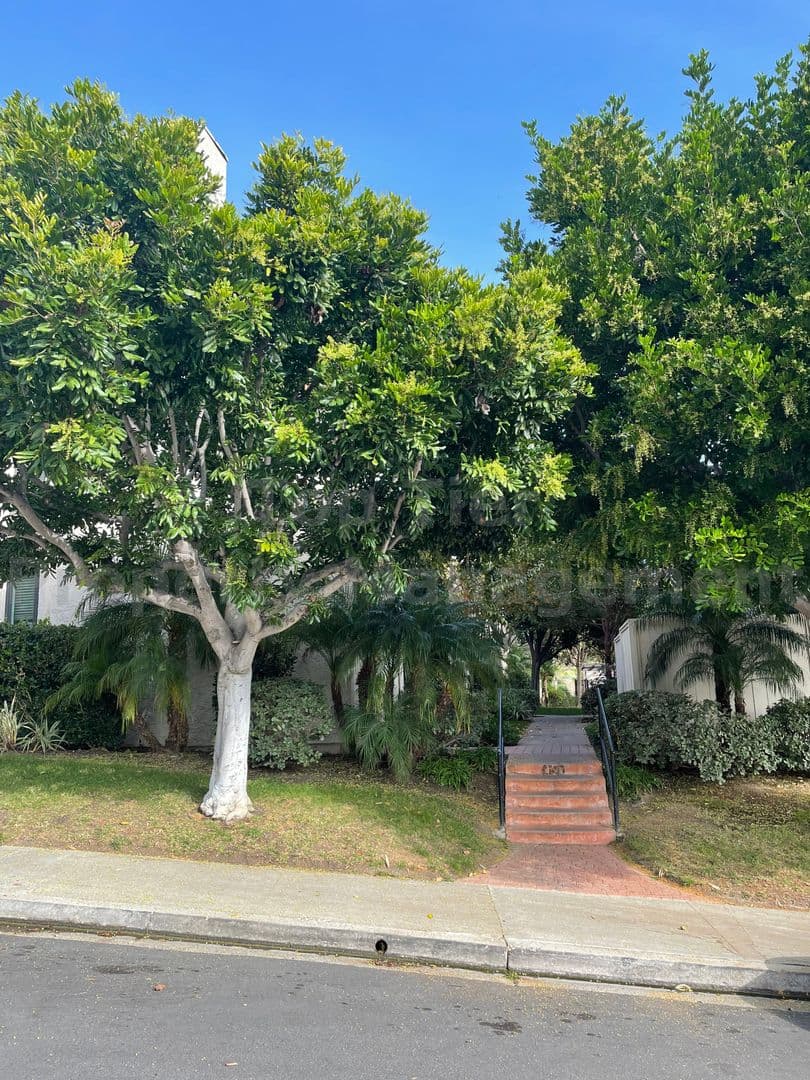 Carlsbad Townhome: 2364 Altisma Way #C