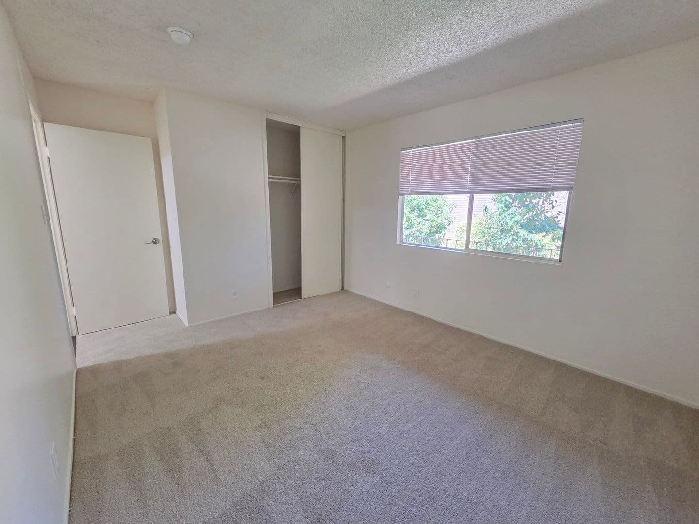 Concord Apartment: 2451 Olivera Rd