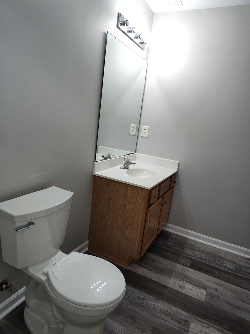 Charlotte Townhome: 8745 Wandering creek Way