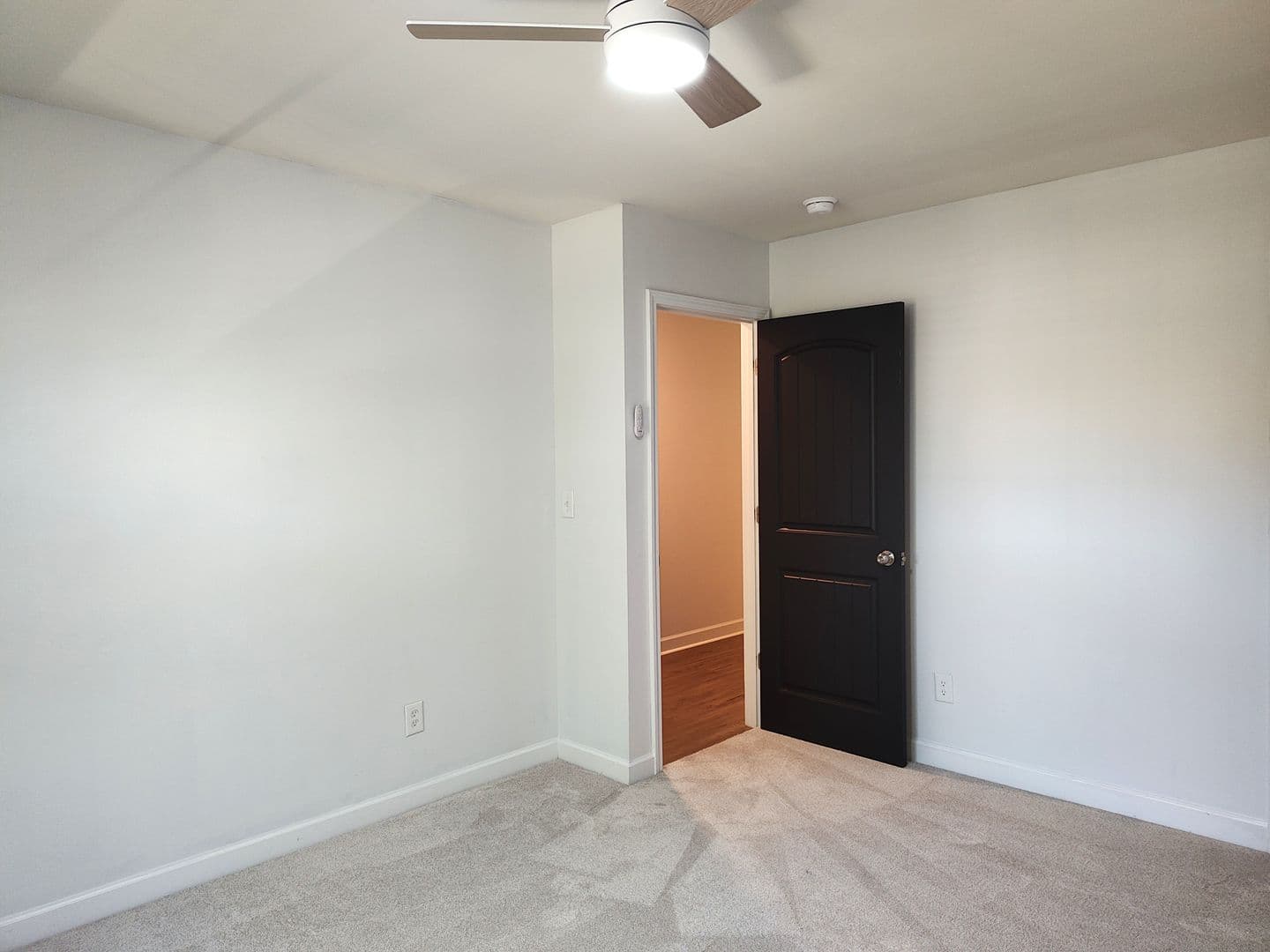 Charlotte House: 605 Lumber Ln