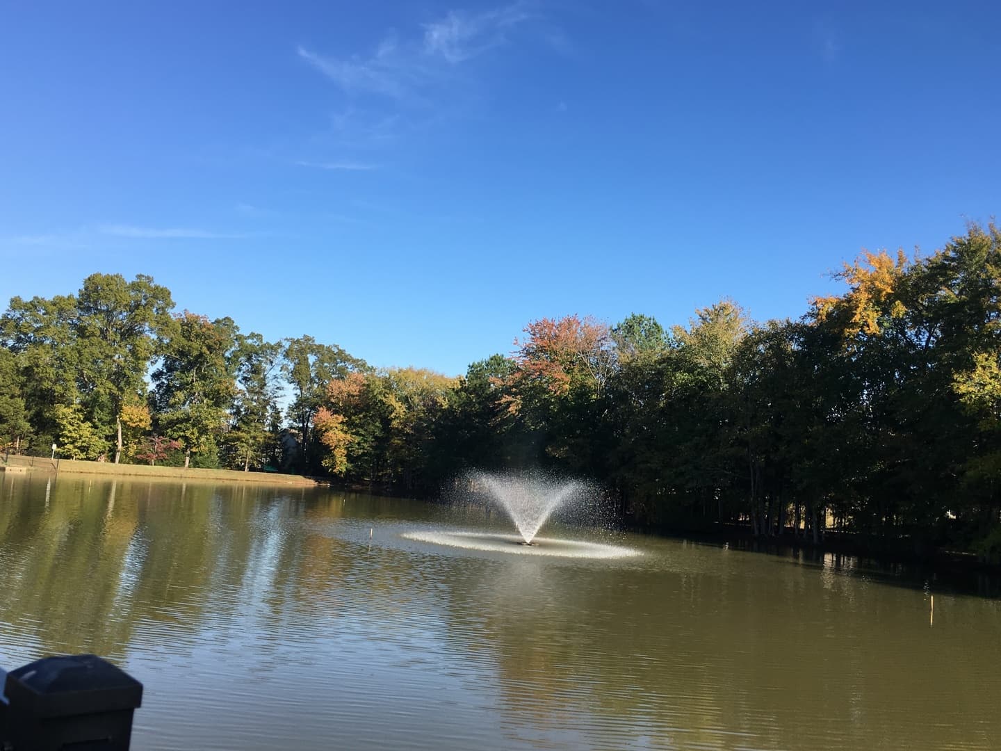 Charlotte House: 11701 Village Pond Drive