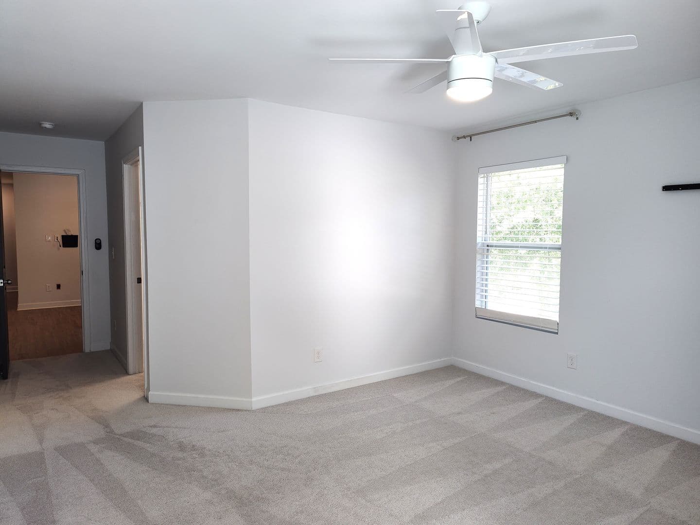 Charlotte House: 605 Lumber Ln