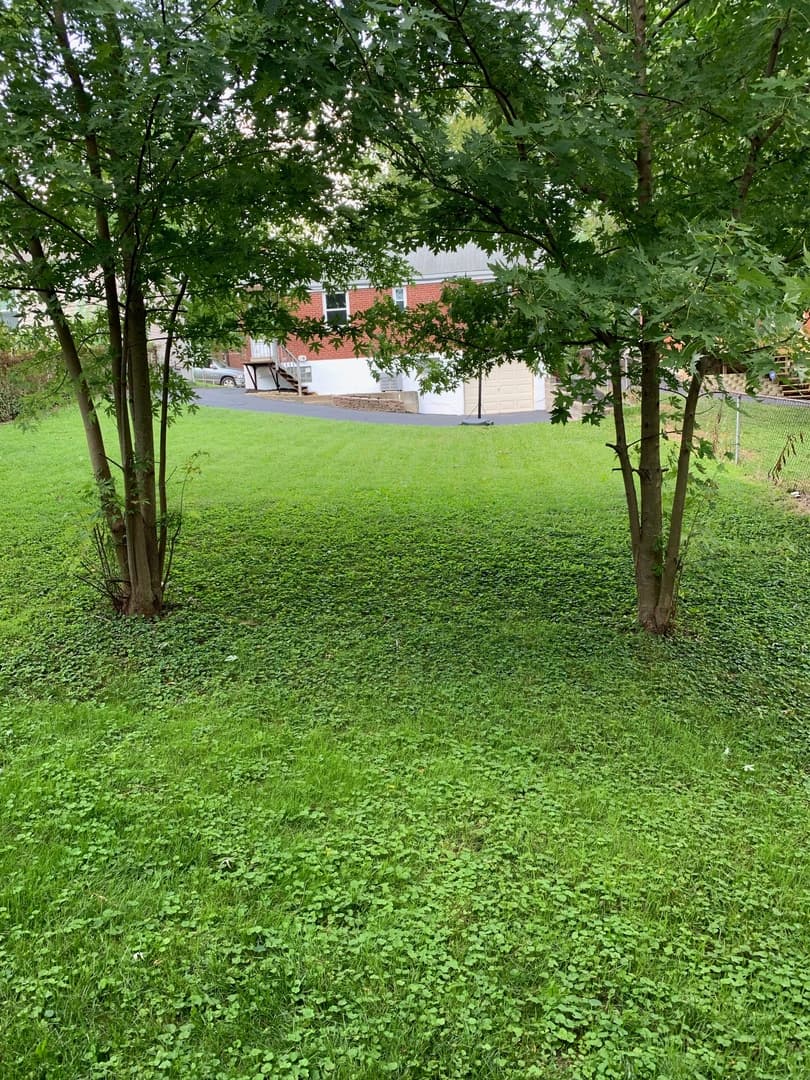 Cincinnati House: 2180 Townhill Drive
