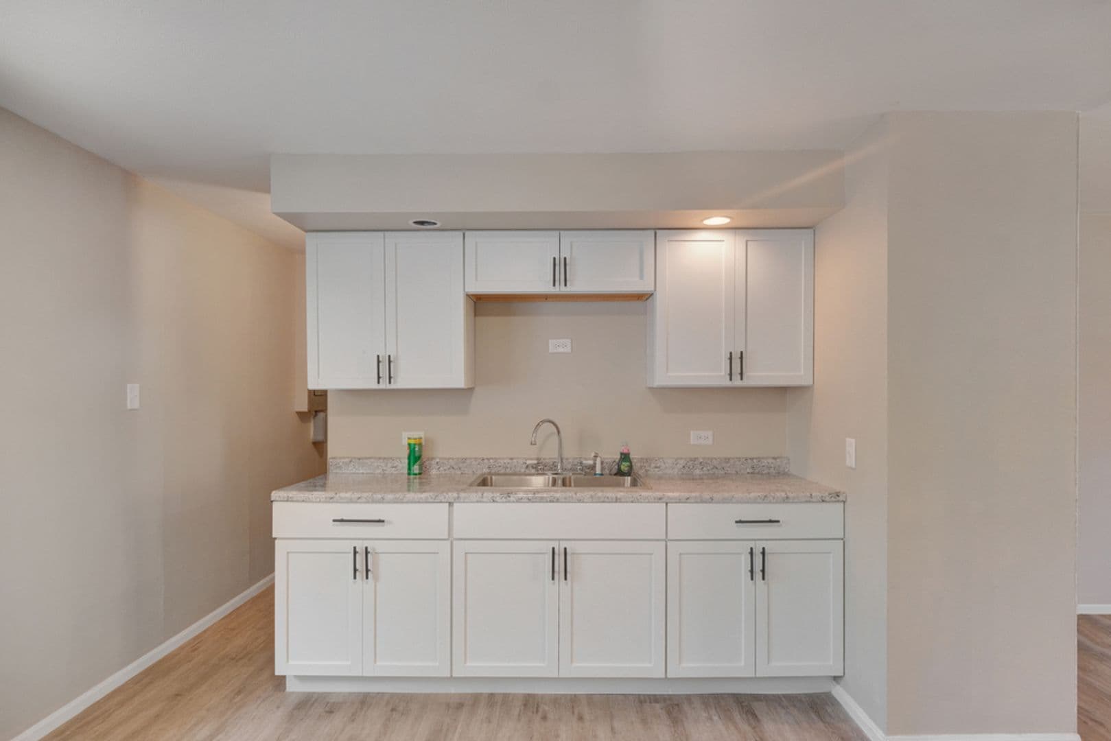 Champaign House: 1507 Thornton Dr.