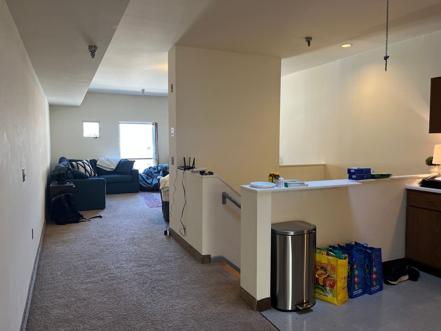 Ithaca Apartment: 171 E State St