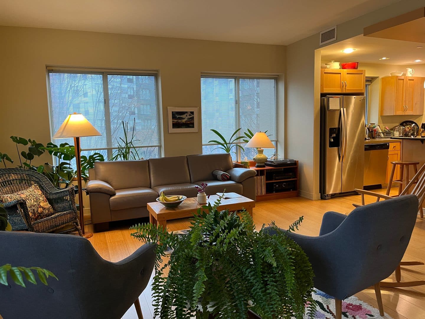 Ithaca Apartment: 311 E Green