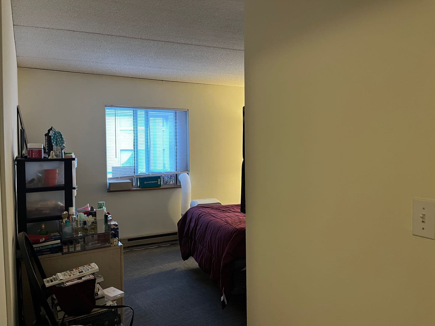 Ithaca Apartment: 110 Dryden Rd