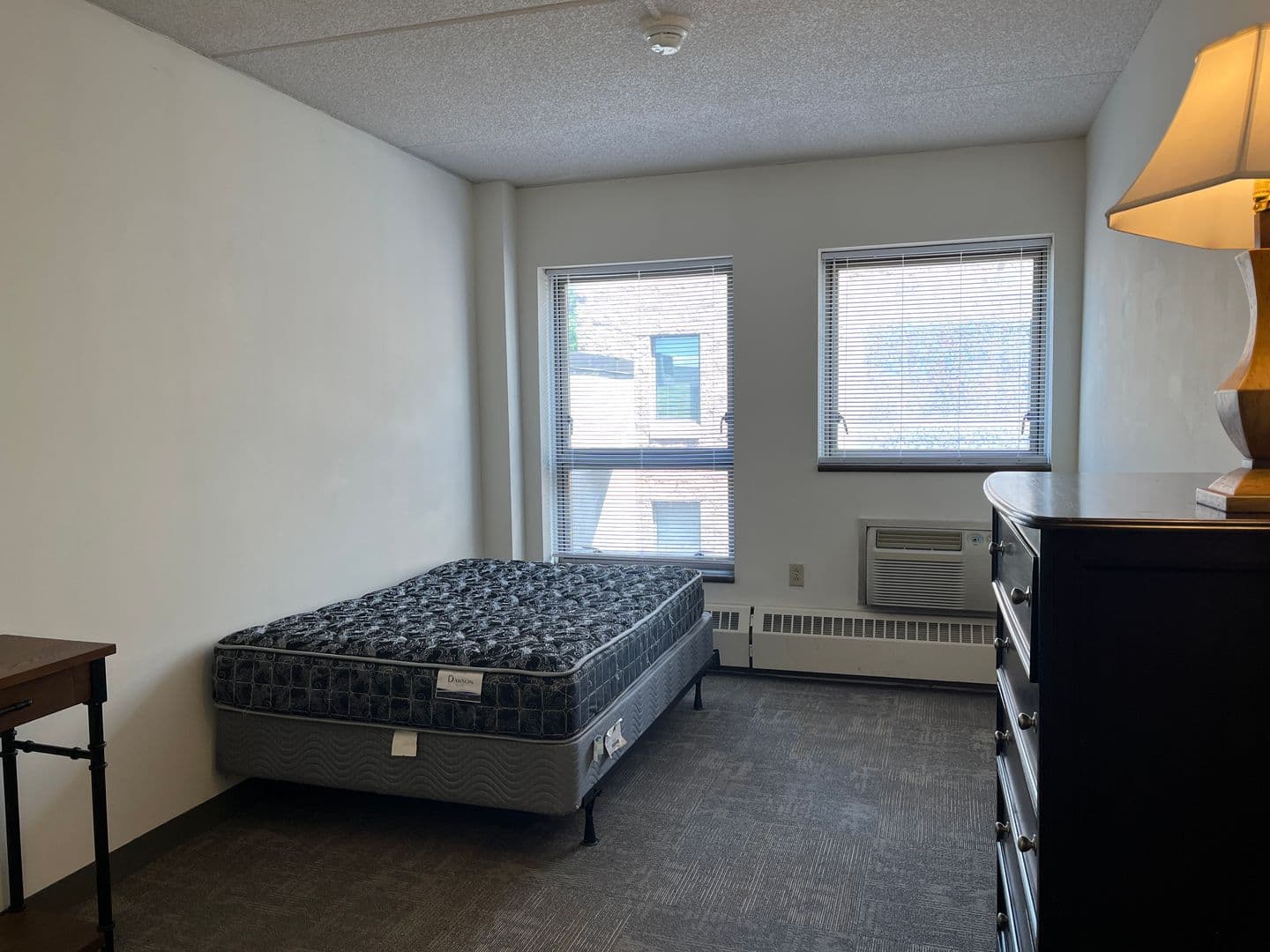 Ithaca Apartment: 407 College Ave
