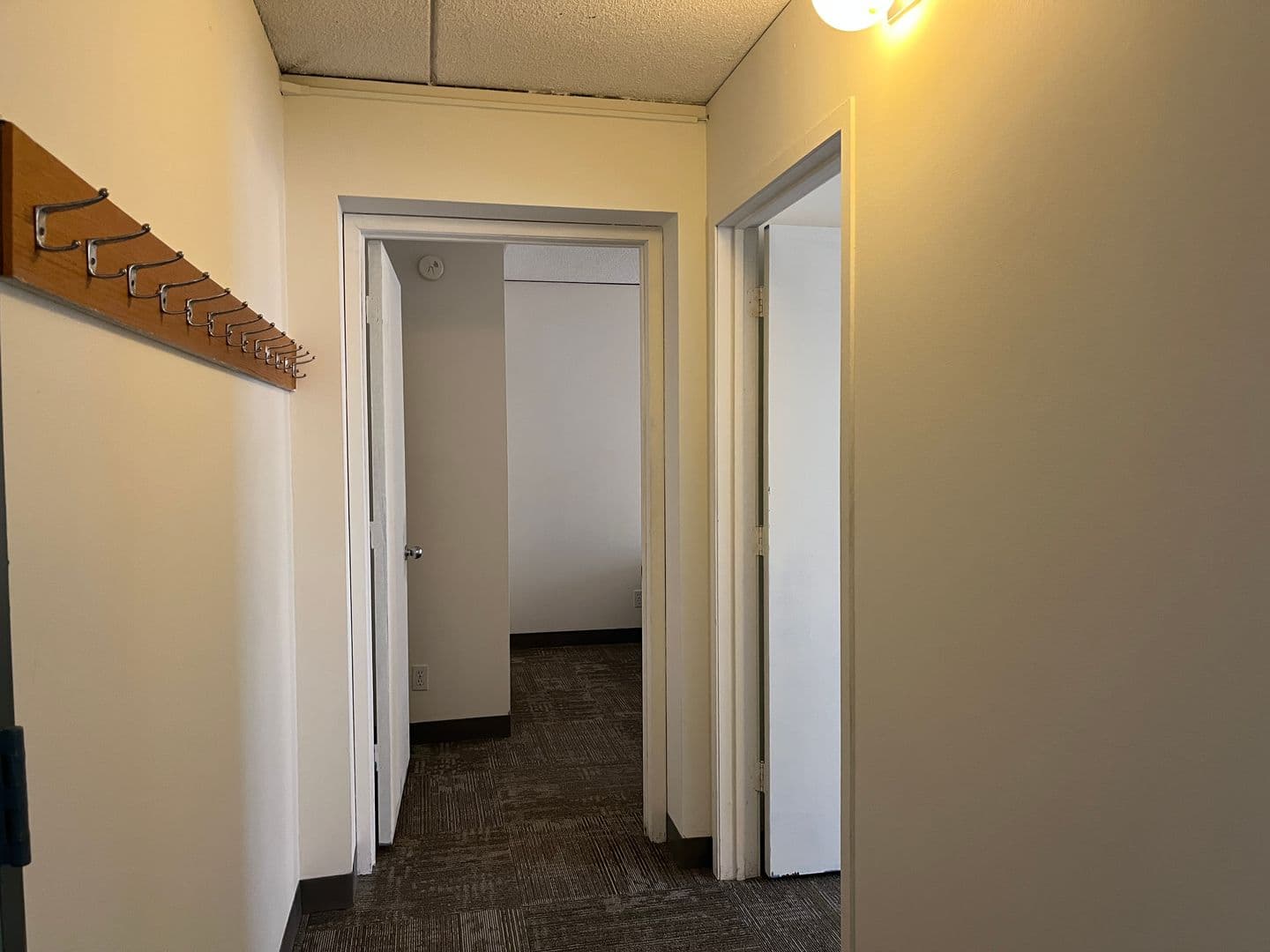 Ithaca Apartment: 110 Dryden Rd