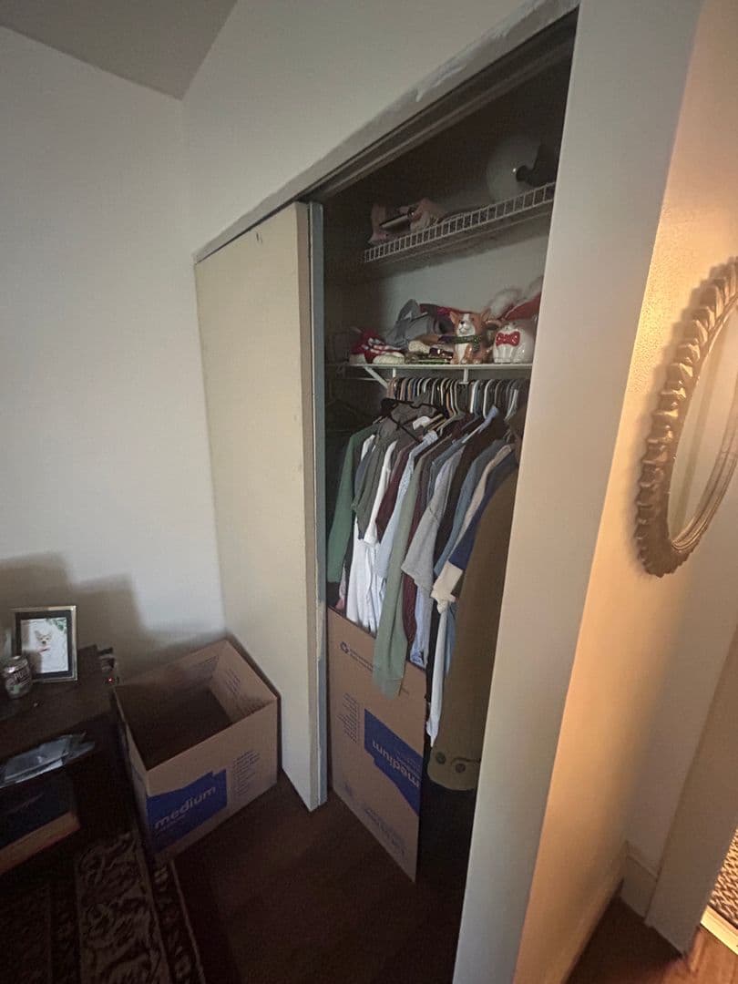 Ithaca Apartment: 321-323 N Tioga St