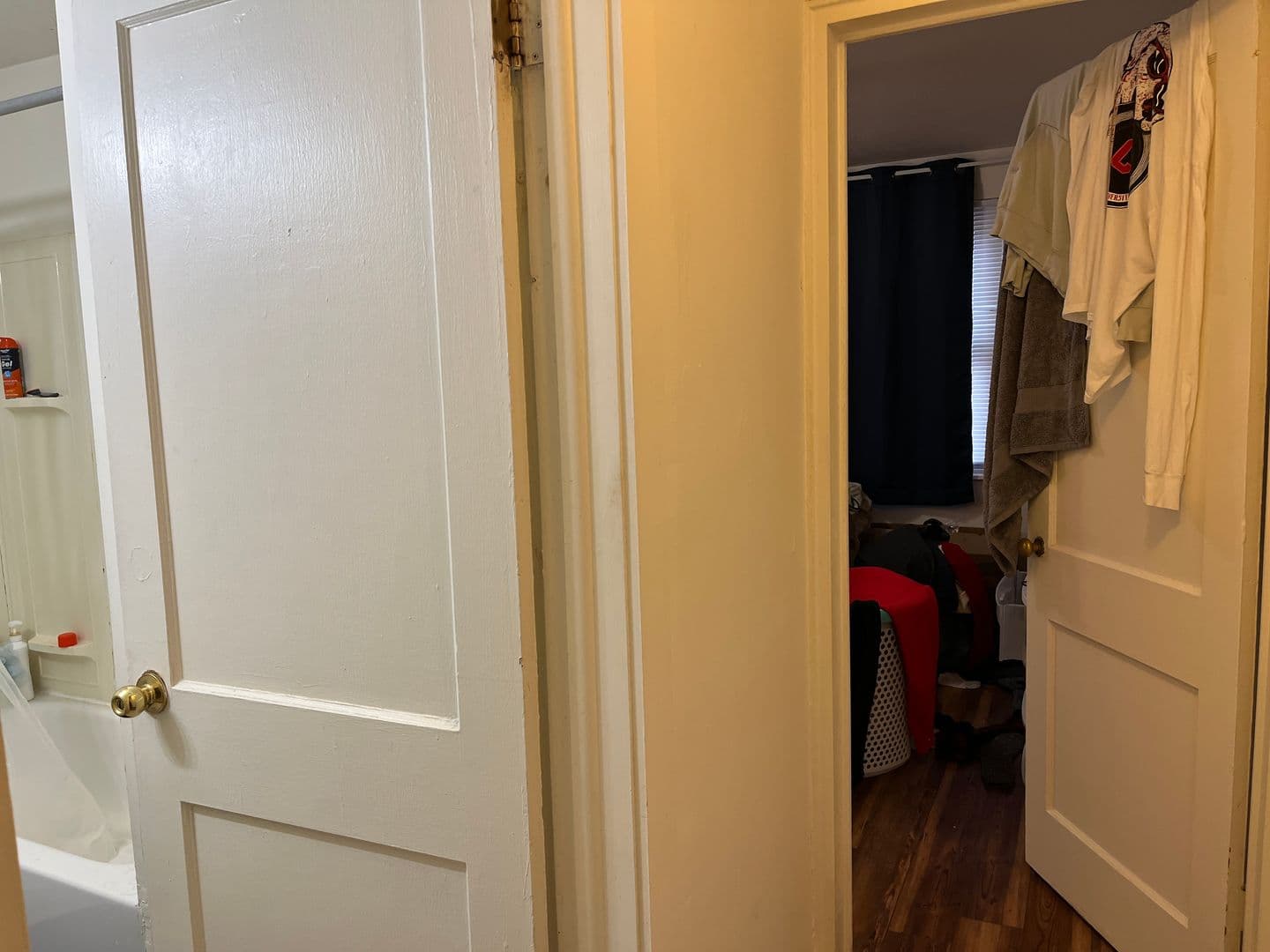 Ithaca Apartment: 319 Highland Ave