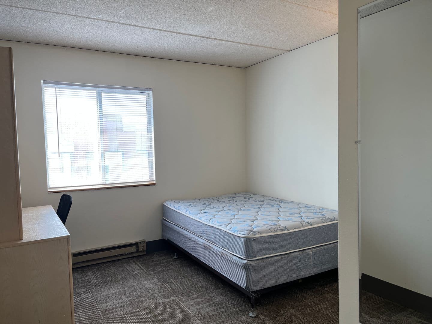 Ithaca Apartment: 110 Dryden Rd