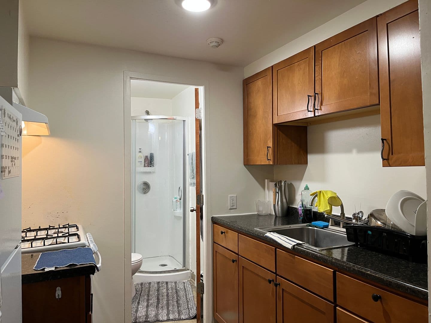 Ithaca Apartment: 934 Stewart Ave