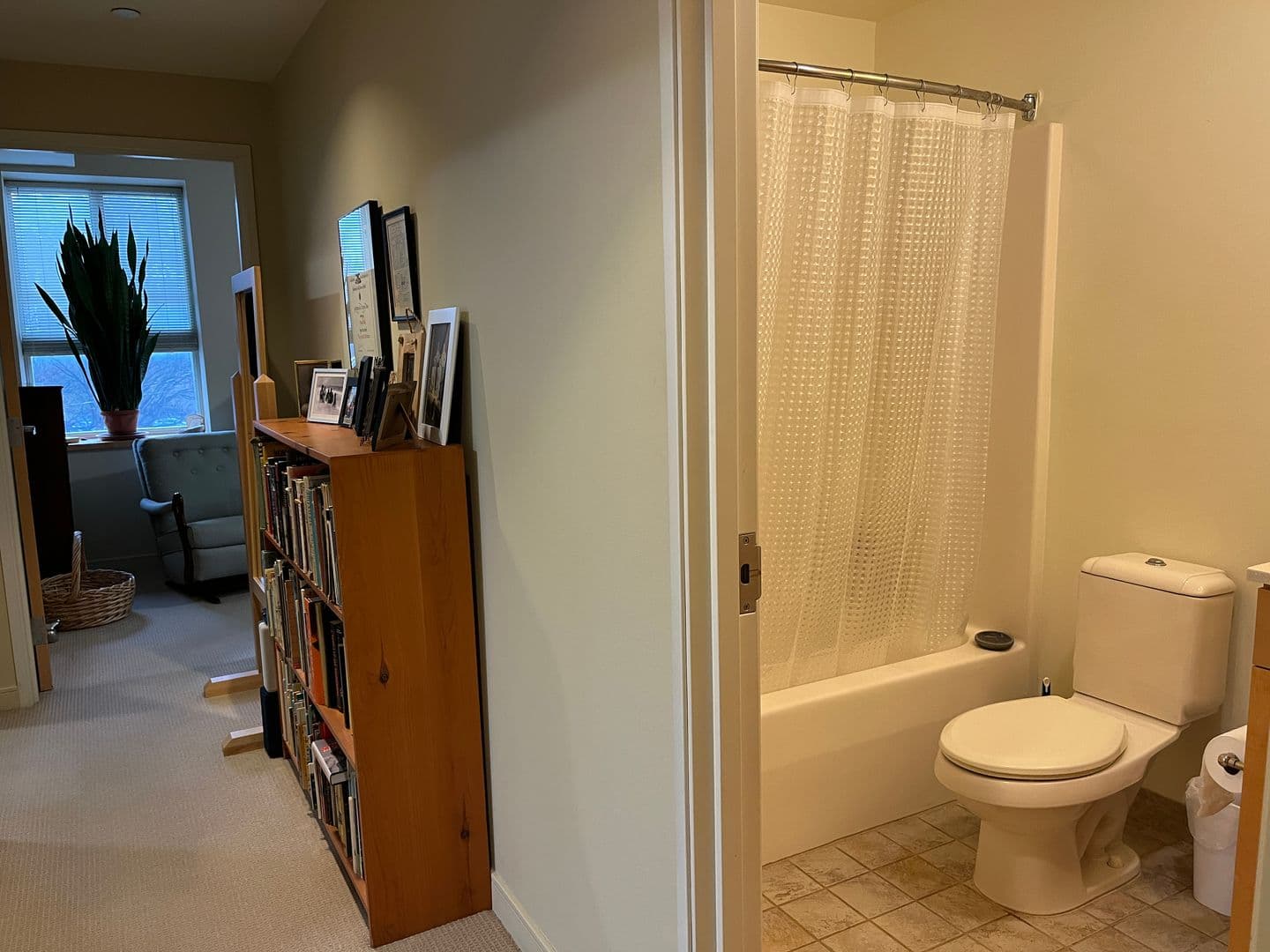 Ithaca Apartment: 311 E Green