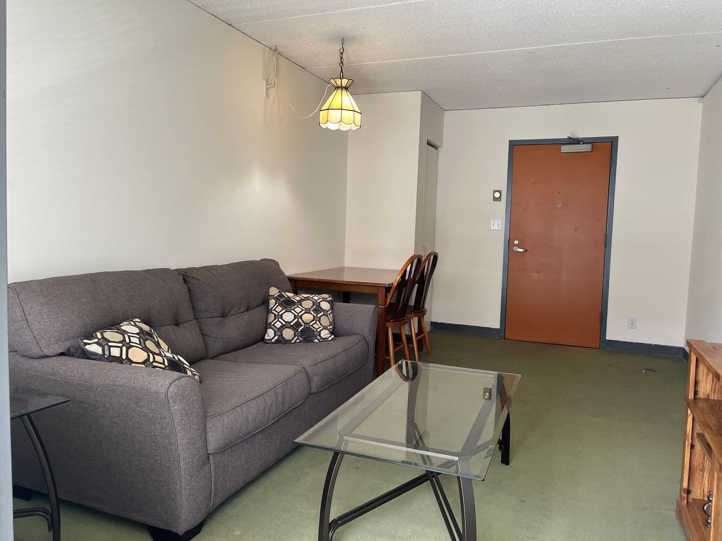 Ithaca Apartment: 110 Dryden Rd