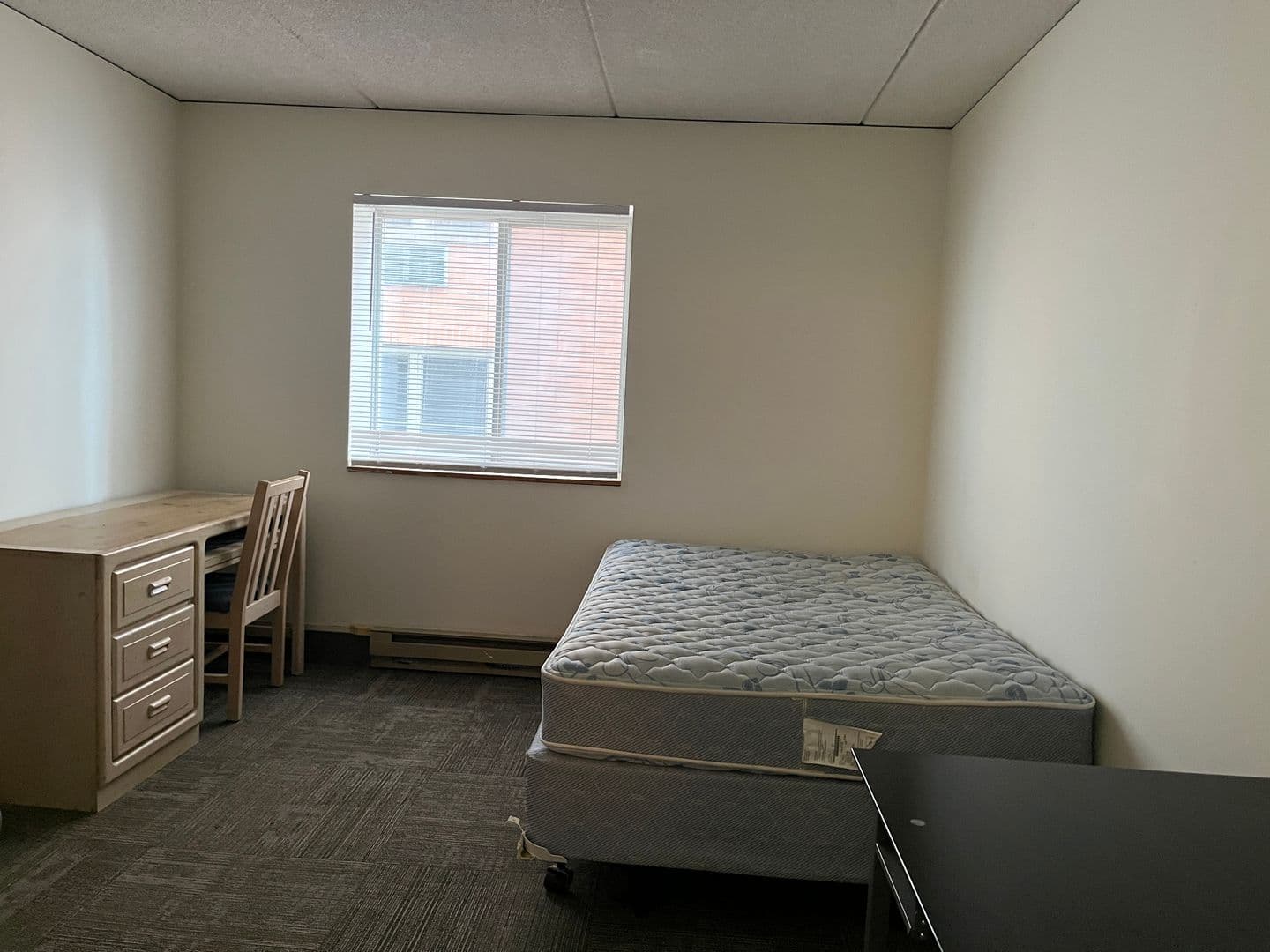 Ithaca Apartment: 110 Dryden Rd