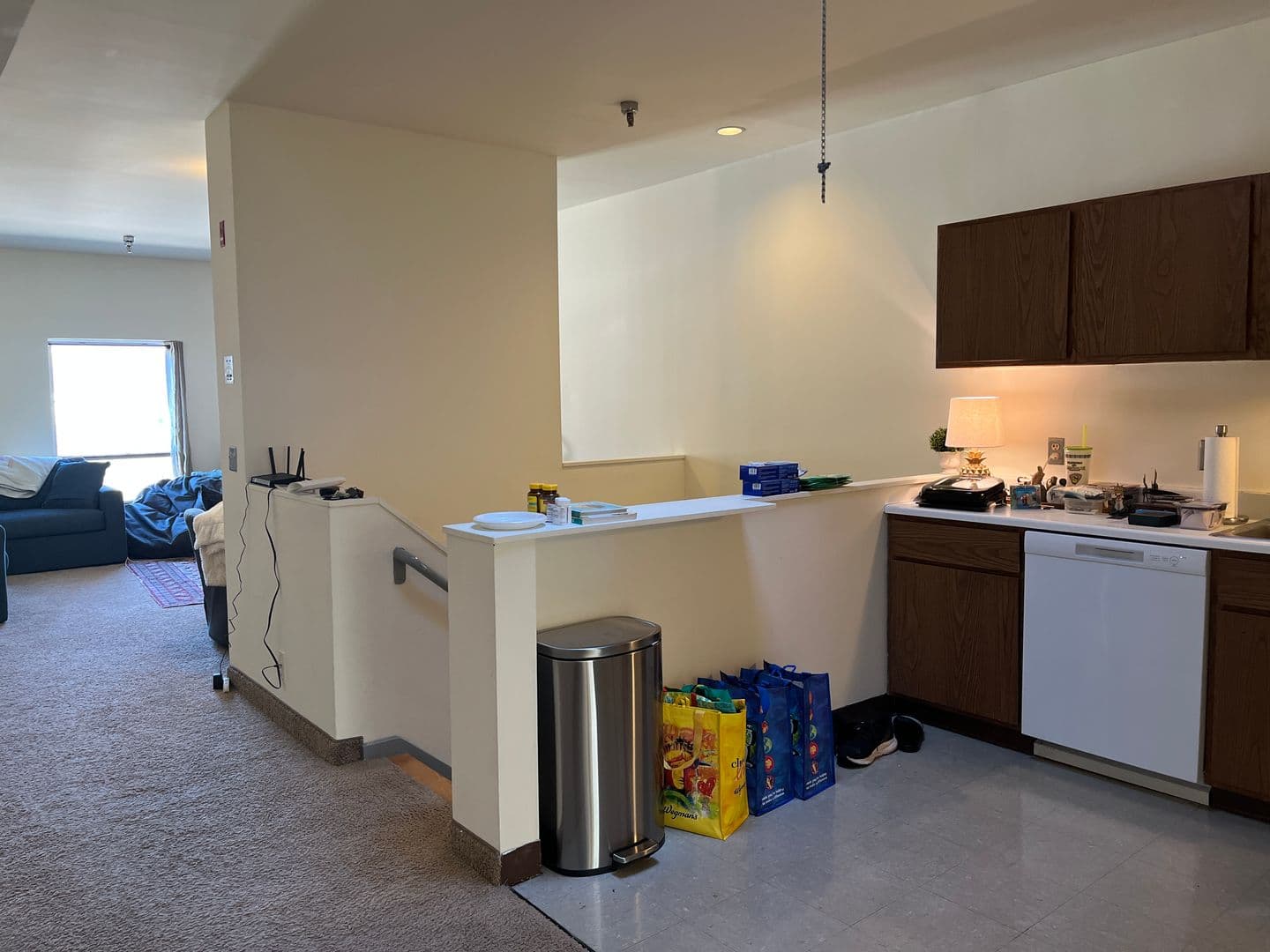 Ithaca Apartment: 171 E State St