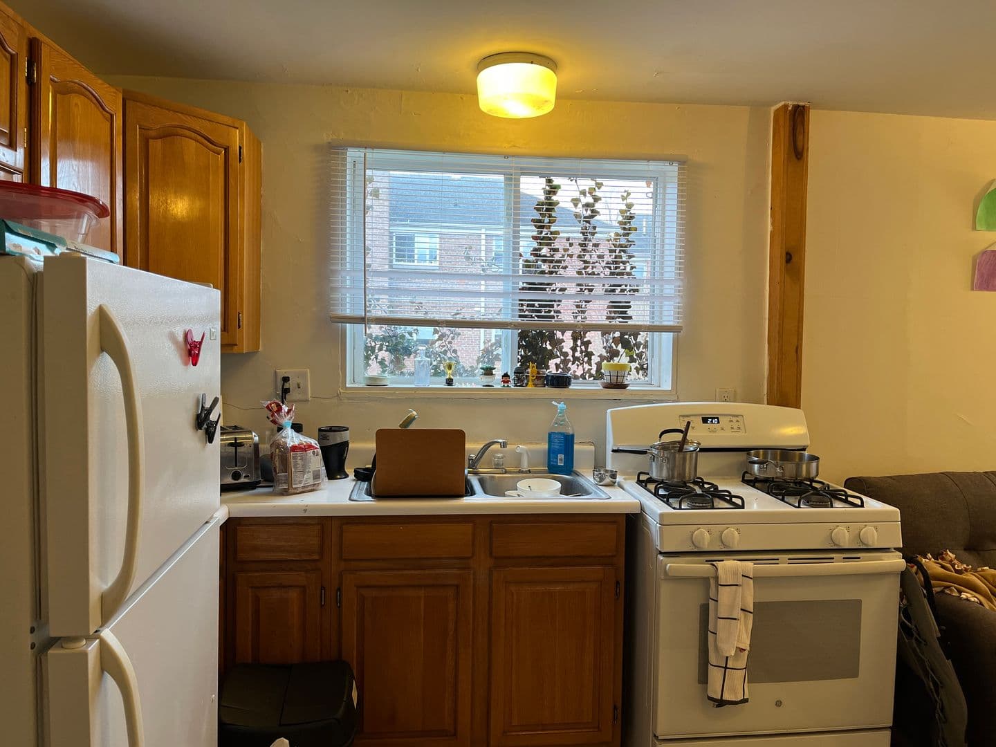Ithaca Apartment: 319 Highland Ave