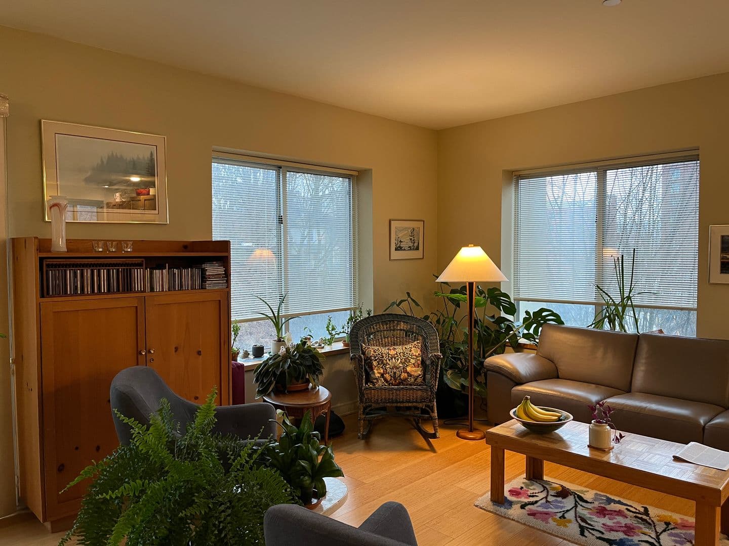 Ithaca Apartment: 311 E Green
