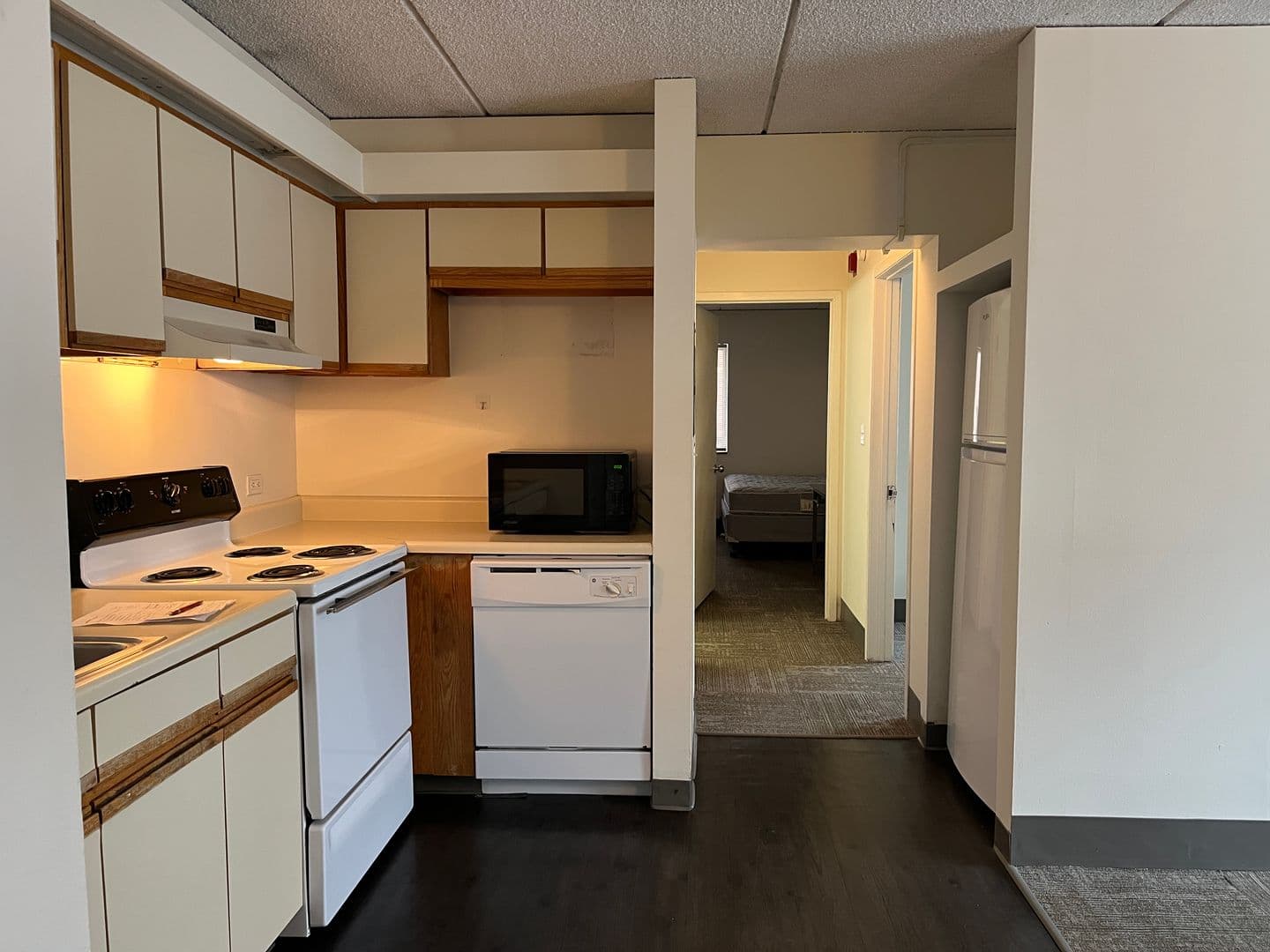 Ithaca Apartment: 110 Dryden Rd