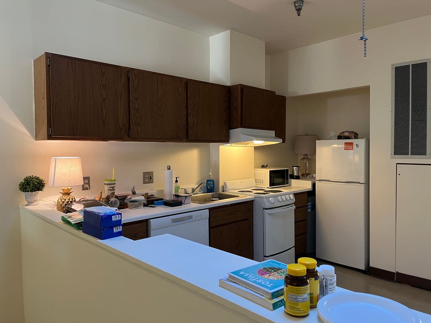 Ithaca Apartment: 171 E State St