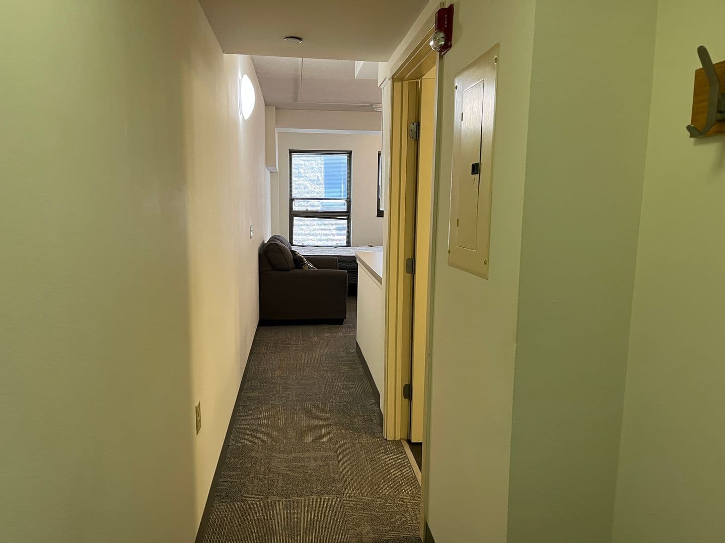 Ithaca Apartment: 407 College Ave