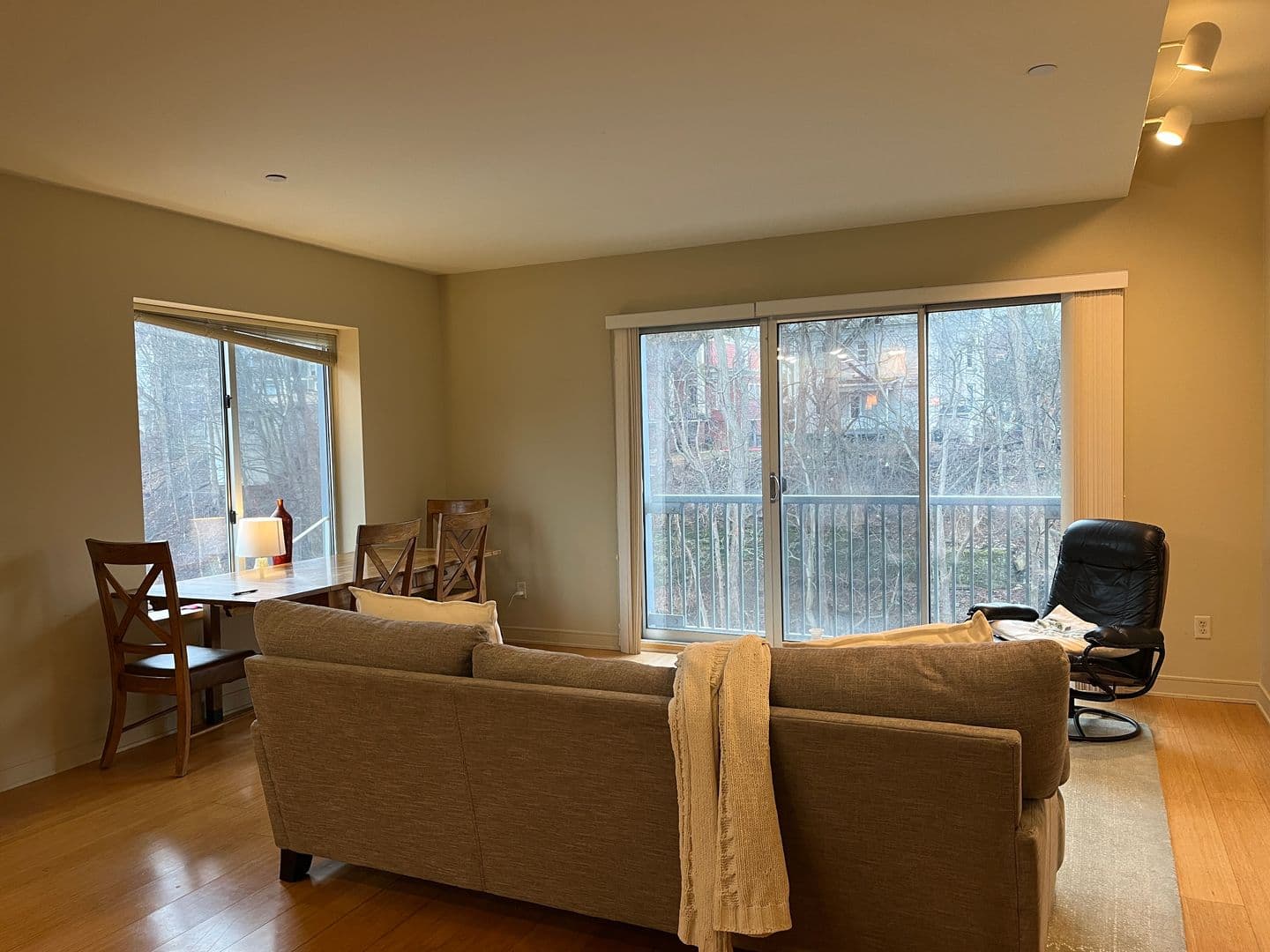 Ithaca Apartment: 311 E Green