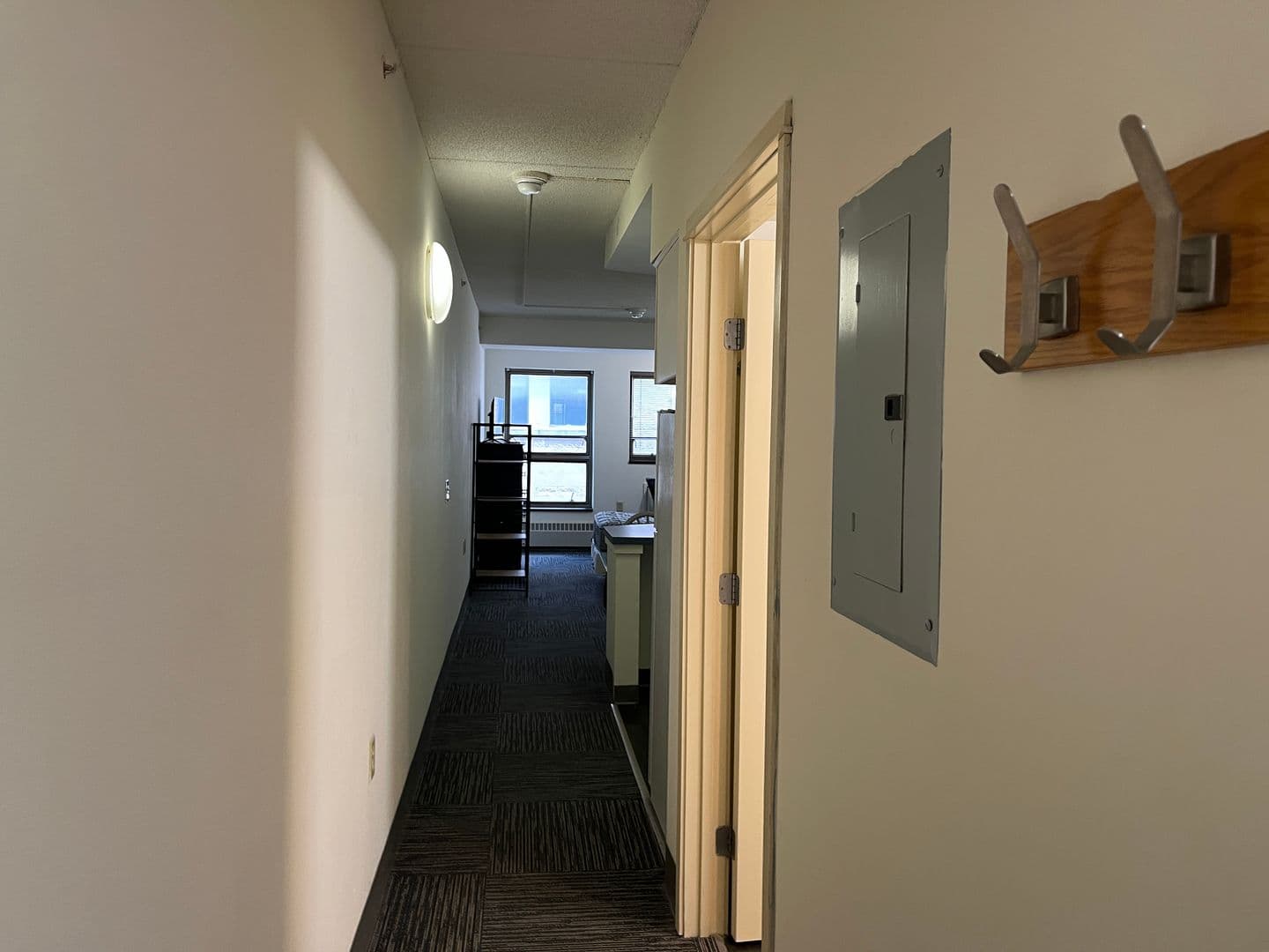 Ithaca Apartment: 407 College Ave