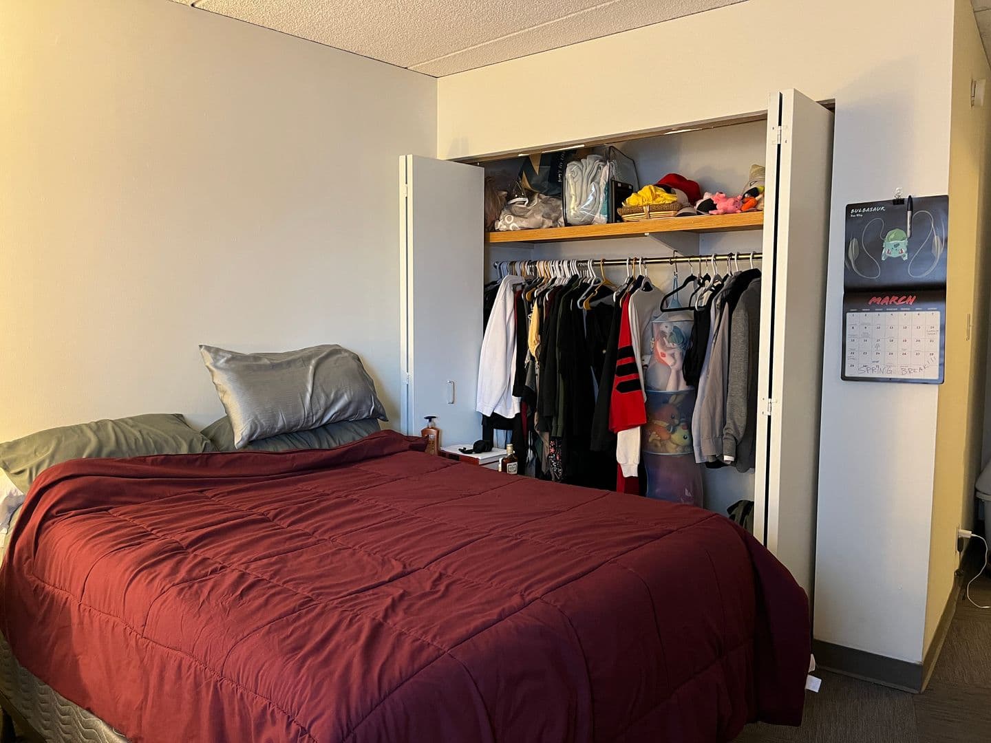 Ithaca Apartment: 110 Dryden Rd