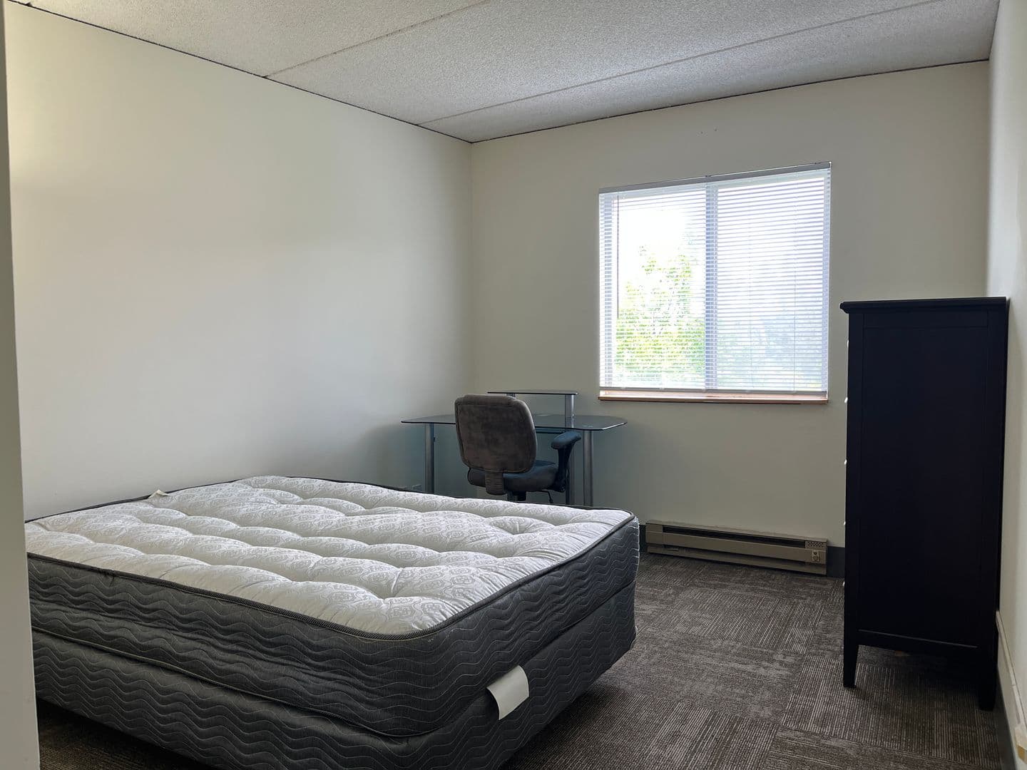 Ithaca Apartment: 110 Dryden Rd