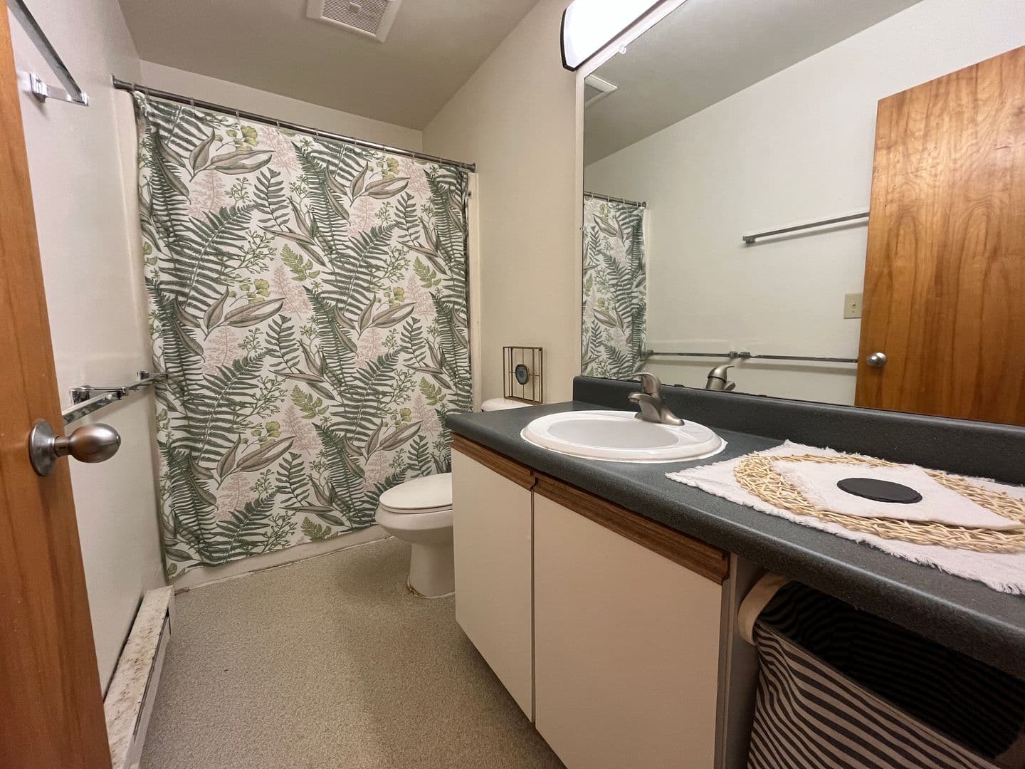 Ithaca Apartment: 516 University Ave