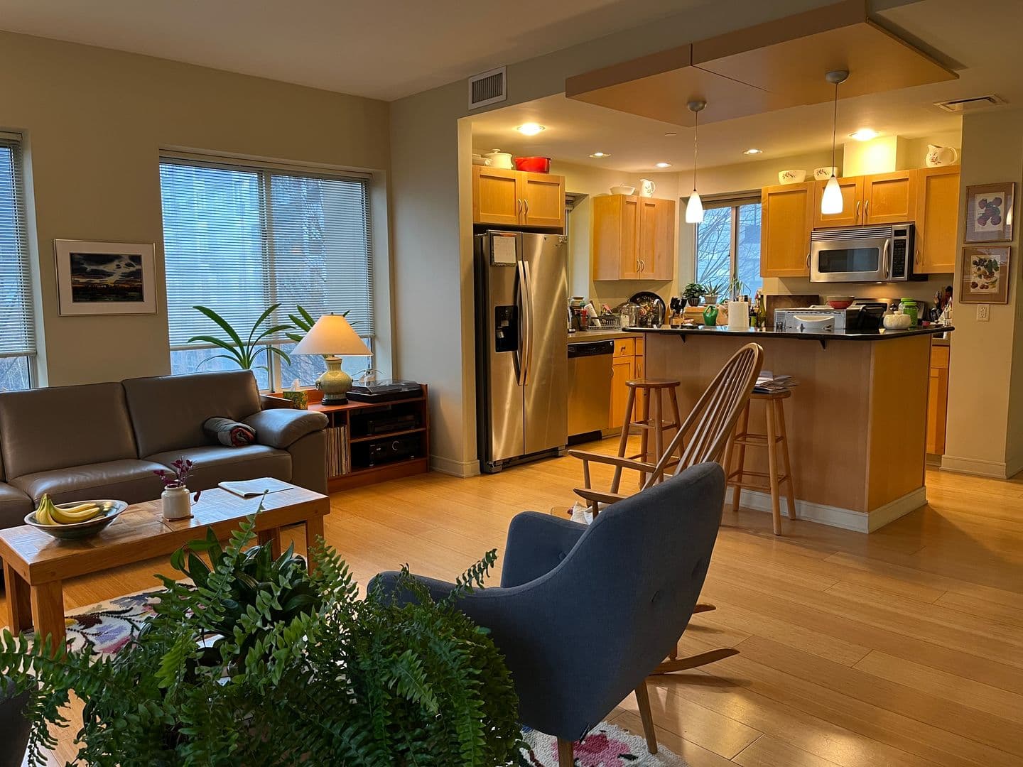 Ithaca Apartment: 311 E Green