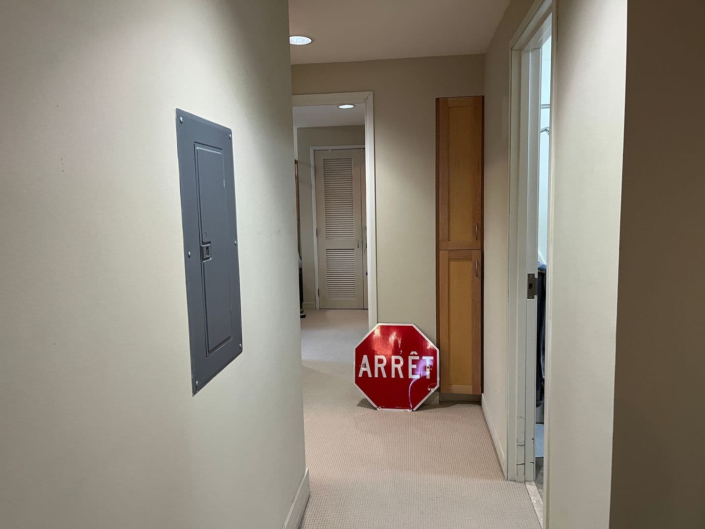 Ithaca Apartment: 311 E Green