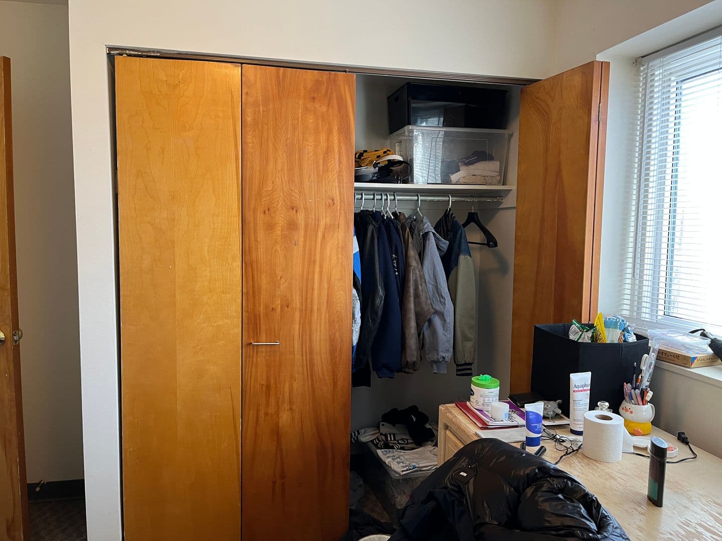 Ithaca Apartment: 516 University Ave