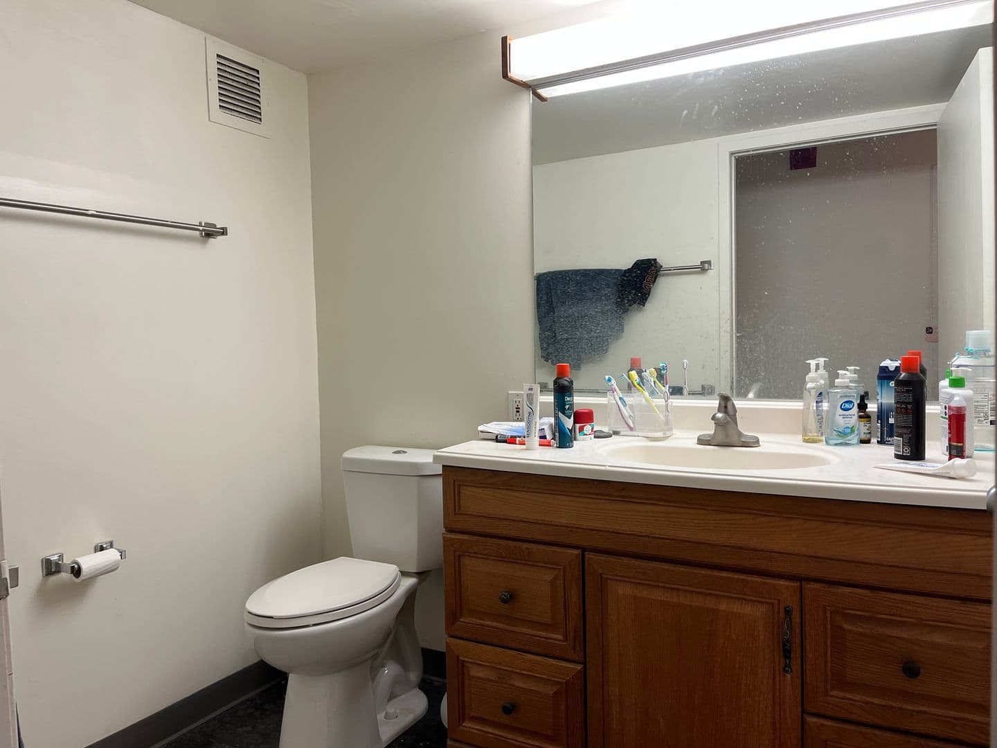 Ithaca Apartment: 110 Dryden Rd