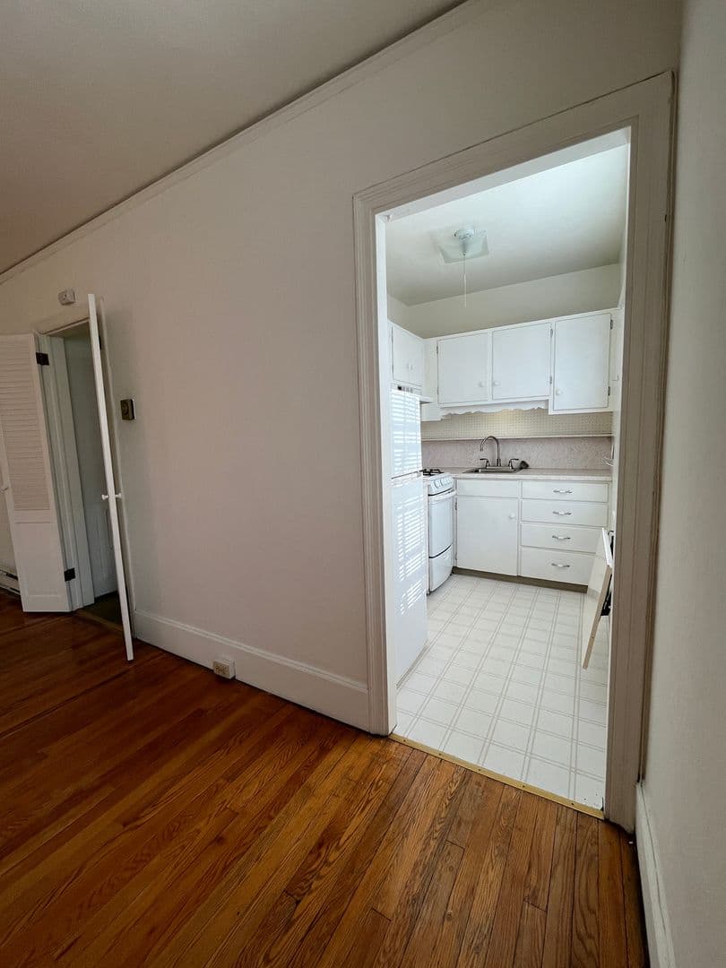 Ithaca Apartment: 100 W Buffalo St