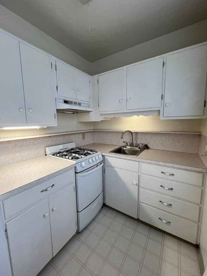 Ithaca Apartment: 100 W Buffalo St