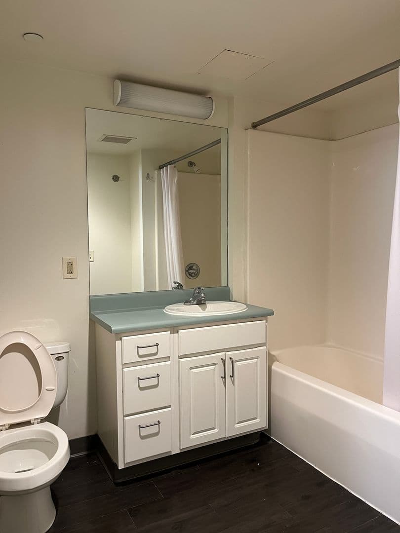 Ithaca Apartment: 407 College Ave