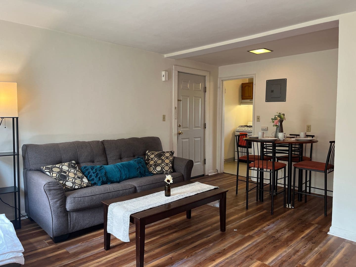 Ithaca Apartment: 319 Highland Ave