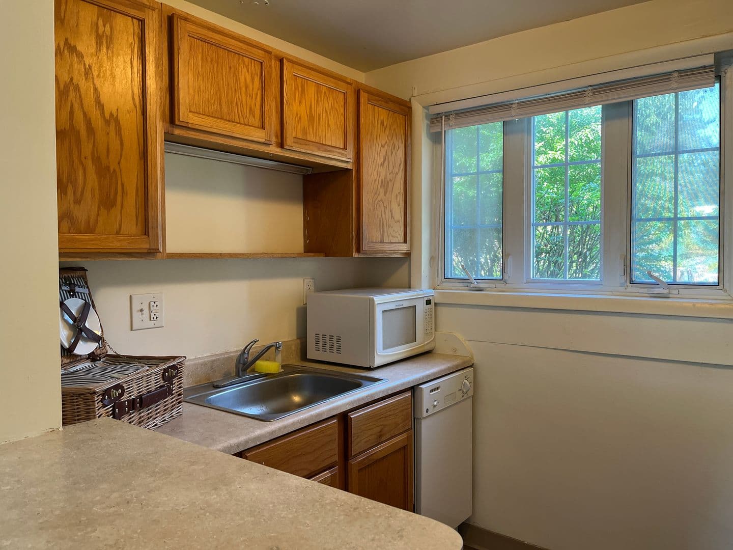 Ithaca Apartment: 319 Highland Ave