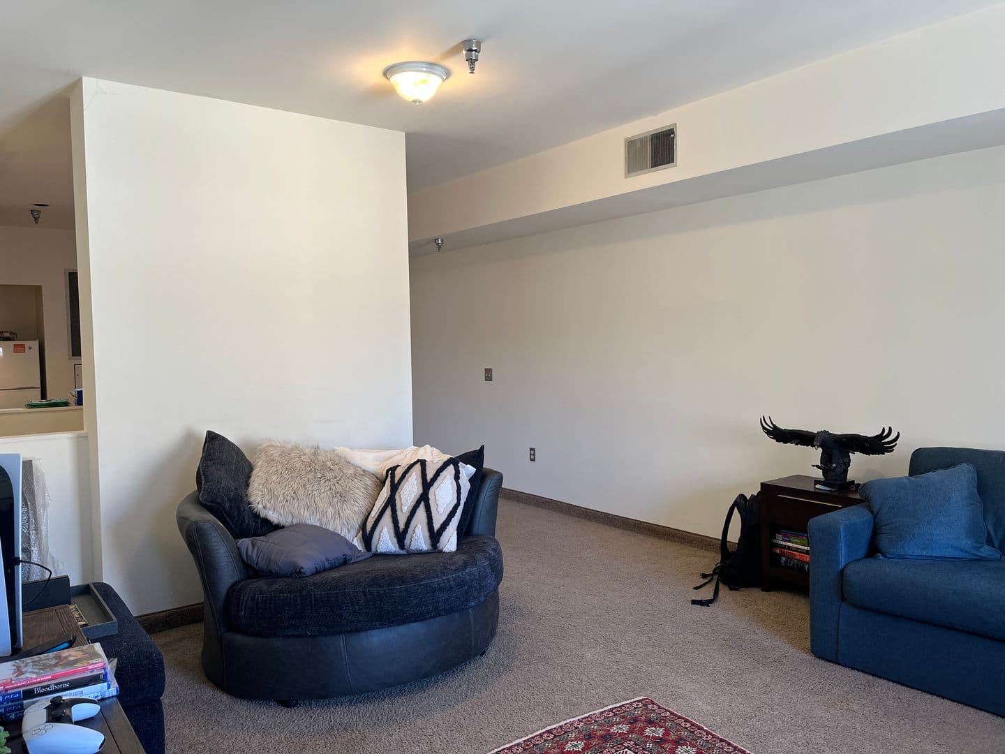 Ithaca Apartment: 171 E State St