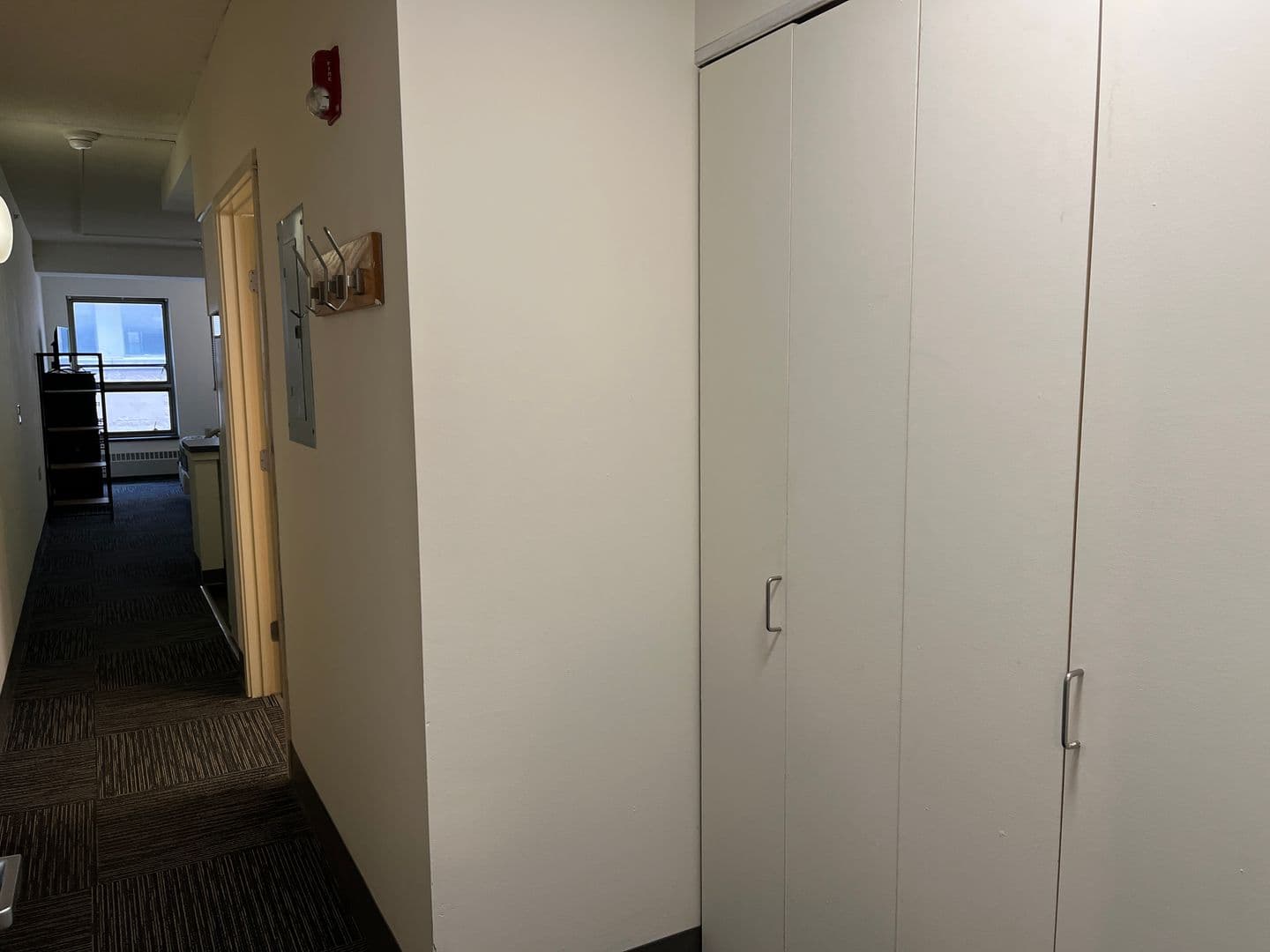 Ithaca Apartment: 407 College Ave