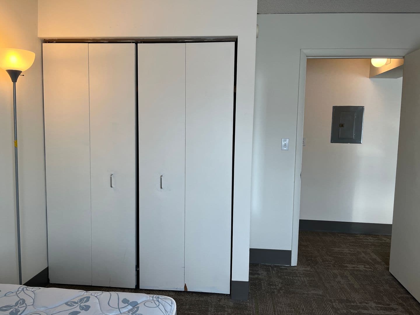 Ithaca Apartment: 110 Dryden Rd