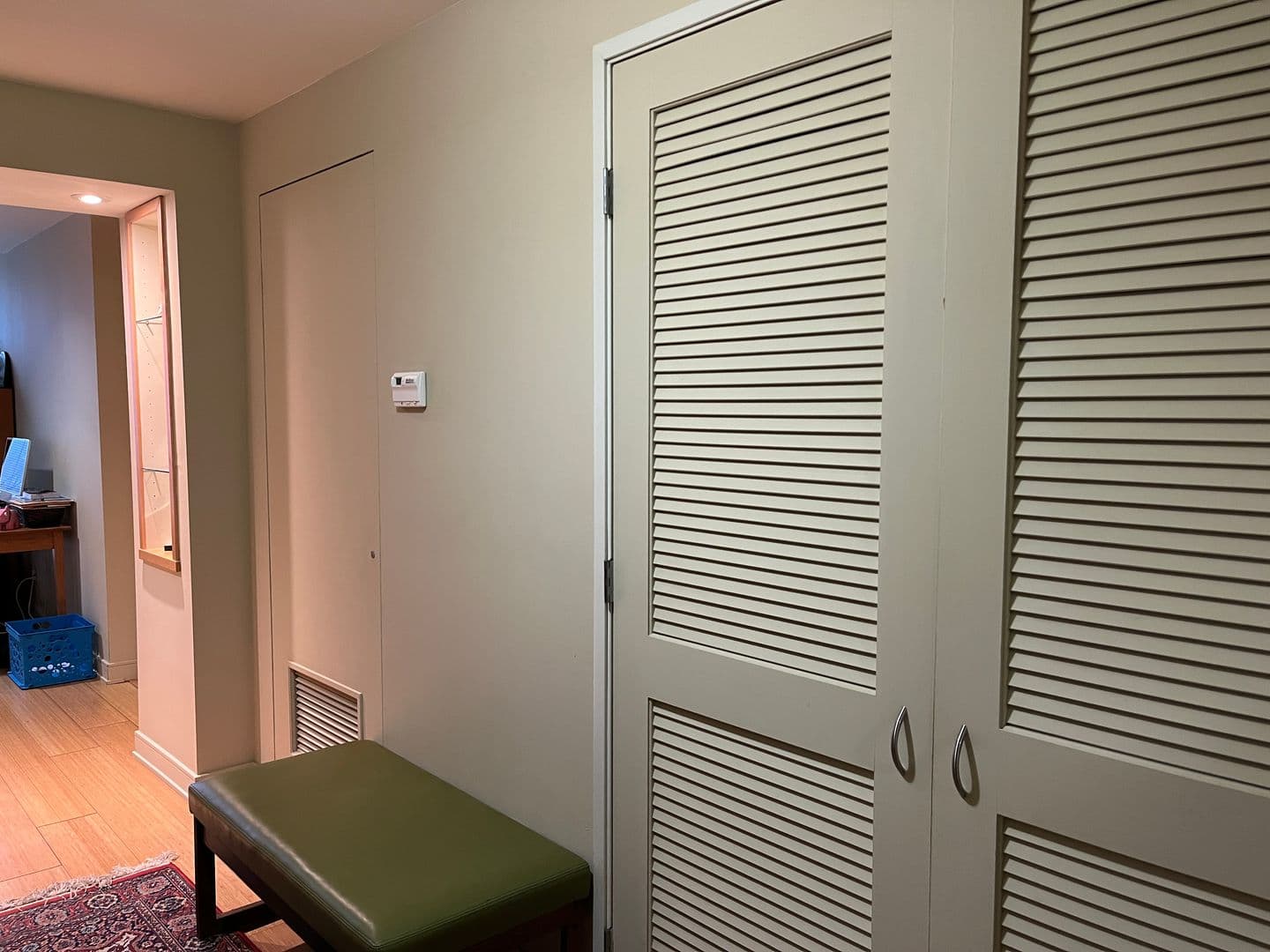 Ithaca Apartment: 311 E Green