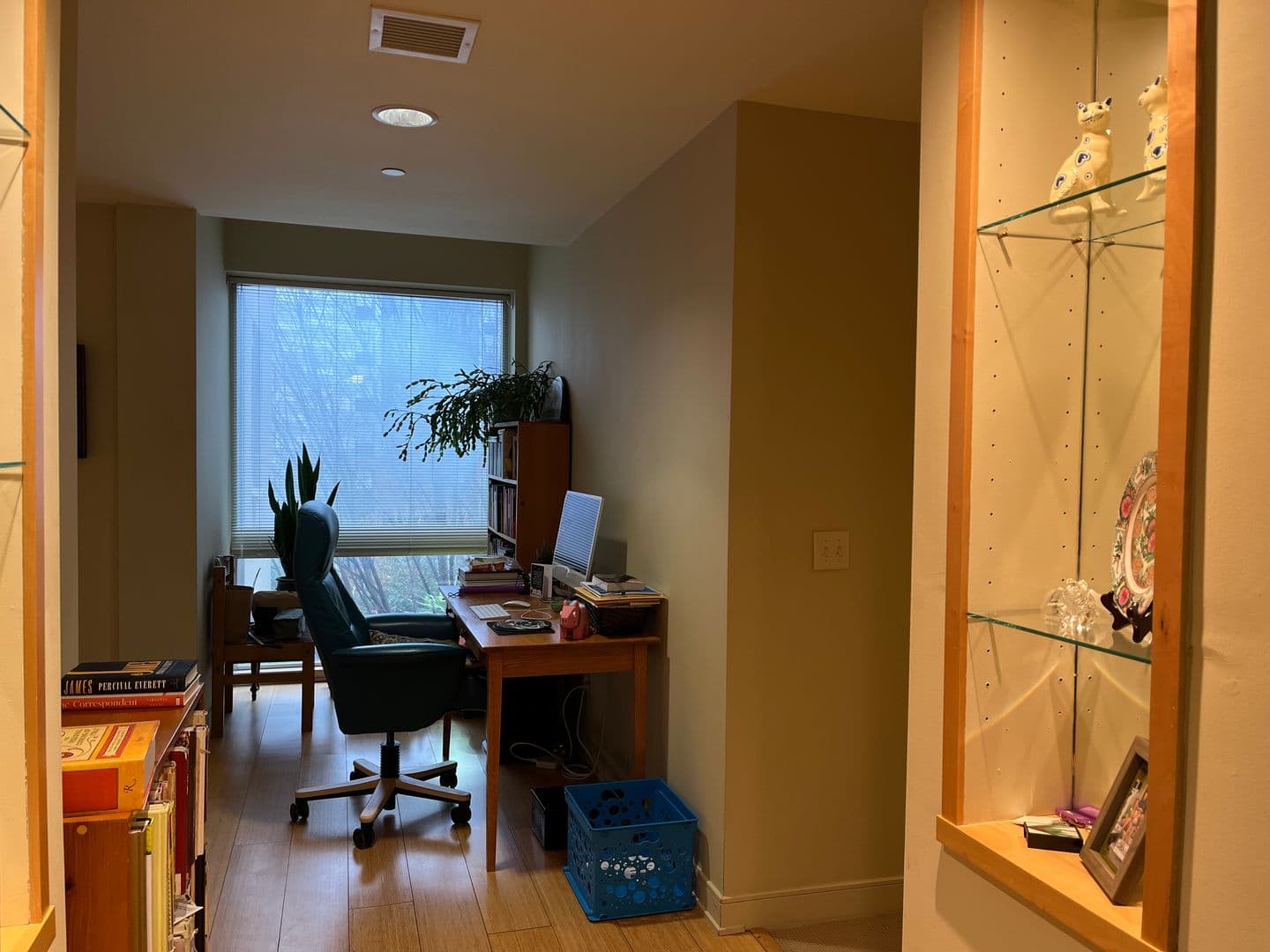 Ithaca Apartment: 311 E Green