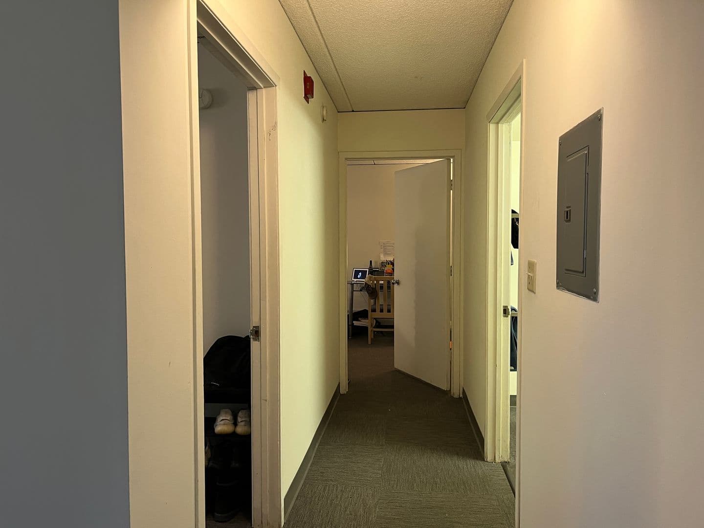 Ithaca Apartment: 110 Dryden Rd