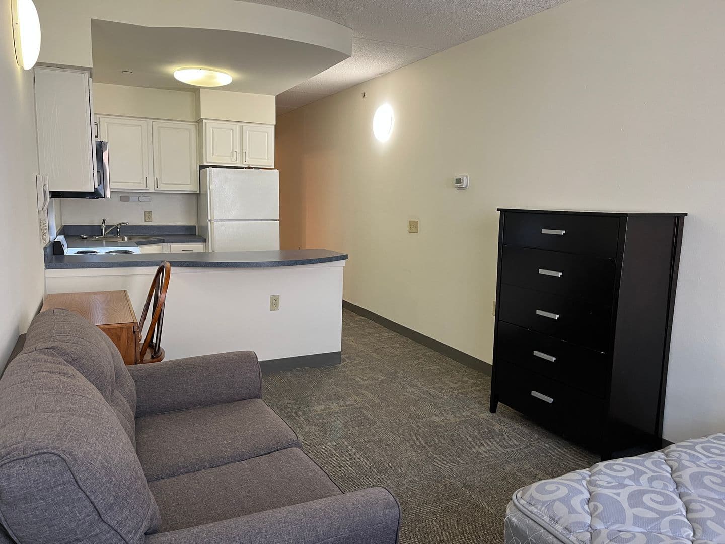 Ithaca Apartment: 407 College Ave